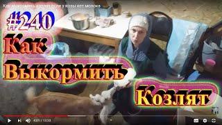 Как выкормить козлят если у козы нет молока