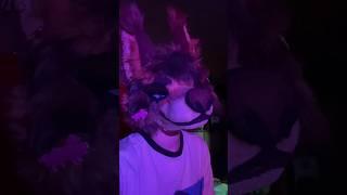 meow • #fursuitmaker #fursuit #dinomask #antizoo #fursuiters #furry #fursona #shorts