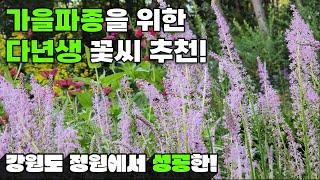 가을파종을 위한 다년생 꽃씨 추천 | 강원도 정원에서 성공한!