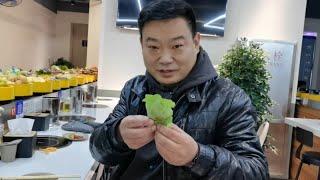 一个人也能吃的菜品很全的火锅