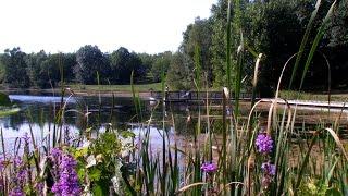 Rolling Hills County Park, Washtenaw County, Michigan