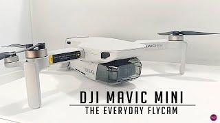 DJI Mavic Mini LATEST FIRMWARE UPDATE and SPECS. Flight test