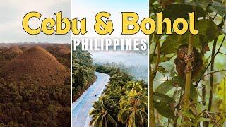 Discover Chocolate Hills & Swim With Million Sardines - Cebu & Bohol | Talkin Travel