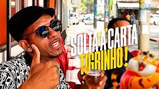 SOLTA A CARTA TIGRINHO - CALMA VIDA TÁ DE BOA - JOGA PRO COROA - J. ESKINE (RESENHA DO ARROCHA)