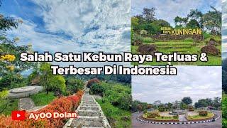 Update ‼️ Wisata Kebun Raya Kuningan Jawa Barat 2024