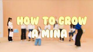 how to grow a mina