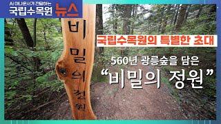 [AI 뉴스] 560년 광릉숲을 담은 "비밀의 정원" 개장