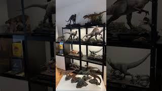 Dinosaur Collection - Prime 1 Studio #prime1studio