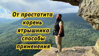 корень ятрышника заготрвка в зиму / средства от простатита / Павел Литовкин / www.medbka.ru