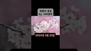 벚꽃 개화 시기. 벚꽃 생각. 생각 기록 8일차 #100일챌린지 #기록장 #일기장 #벚꽃개화
