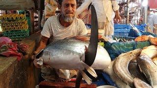 Long Whiskered Catfish Cut Into Pieces By Old Fishmonger In Amazing Fish Market