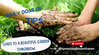 Daily Dose of Gardening Tips  #gardeningtips  #gardening #garden  #vegetables