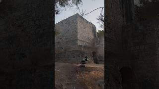 An ancient fortress in the forests of the Holy Land