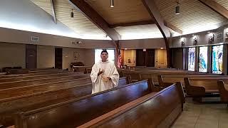 Rev. Sergio Balderas, St. Elizabeth Seton, April 26, 2020, Homily