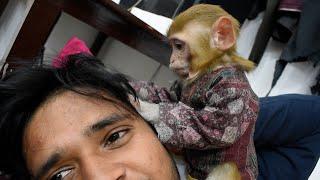 Gori - आज मेरे सर की जुएं साफ कर रही है ️ #monkey #monkeylover #babymonkey