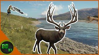 Something Amazing Happened During Our Crossbow Mule Deer HUNT! Call Of The Wild