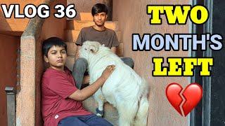 GUYS AB POCKET KO BAS 2 MONTH BAAKI HAI ️ || VLOG 36 || MD ANAs VLOGs