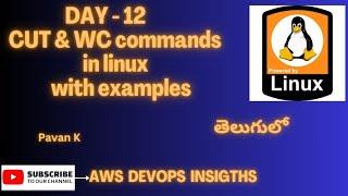 Linux basics: CUT command WC command with examples|Linux for Devops |#aws #devops #realtime #project