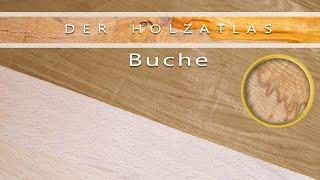 Schönes Holz für wenig Geld - Buche genauer betrachtet