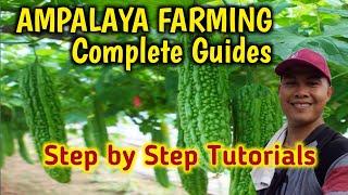 ampalaya farming complete guides | step by step tutorials of bitter gourd farming