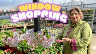 Window Shopping | Sofa Shopping ️ #reflexion #viralvideo #desifood #familyvlog #shoppingvlog