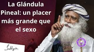 La clave para manifestar lo que realmente quieres | Sadhguru Español, voz doblada con IA