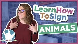 Learn How to Sign Animal Signs in ASL