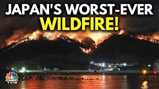 Japan News: Massive Forest Fire In Japan Forces 1,200 Evacuations | Ofunato | N18G