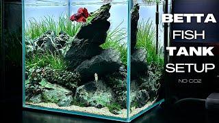 BETTA FISH TANK SETUP | IWAGUMI AQUASCAPE FOR BETTA FISH | AQUASCAPING TUTORIAL | NANO AQUARIUM