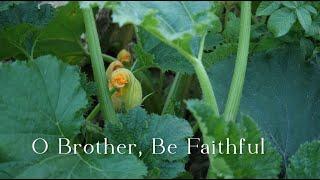 602 SDA Hymn - O Brother, Be Faithful (Singing w/ Lyrics)