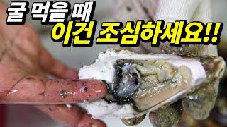 제철 굴(석화), 노로바이러스 걱정없이 싸고 맛있게 즐기는법