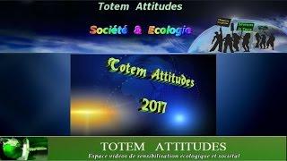 Zapping  Totem Attitudes 2017