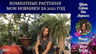 КОМНАТНЫЕ РАСТЕНИЯ МОИ НОВИНКИ ЗА 2021 ГОД