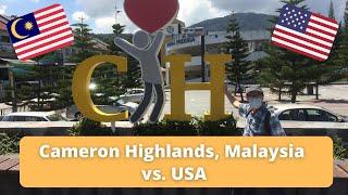 Living in Cameron Highlands Malaysia vs USA.  Which Is Better?