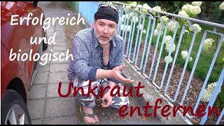 Unkraut biologisch mit Brennnesseljauche entfernen/vernichten - Unkrautvernichter selbst herstellen