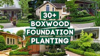 30+ Ideas Boxwood as Foundation Planting 