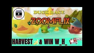  COMMENT IN THE PINNED LINK TO PLANT & HARVEST   JOIN DUCK RACE & WIN _W_H_