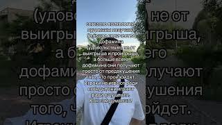 Все дело в дофамине