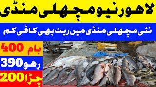 New Fish Market Lahore | Wholesale Fish Market Lahore | Cheapest Rates Fish Market | Lahori Life