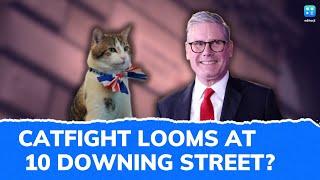 Buddy Or Rival? Larry The Cat Has Company At 10 Downing Street