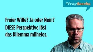 Freier Wille? Warum du die falsche Frage stellst | #FragSascha