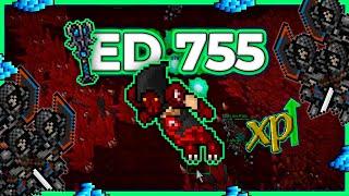 ED 755 Hunt Solo Falcon Bastion 4.8kk/h Raw + 1.6kk Profit - Tibia Hunt [13.35] #tibia #tibiahunt