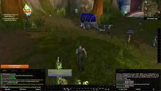 #wowturtle #hardmod #wowclassic  Туртл-мания: играю в WoW с полным набором глифов