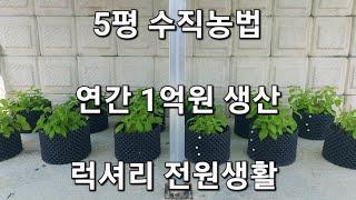 잔돈 푼돈은 잊어라 5평 수직농법으로 토종식물 차수국 감로차 이슬차 즐기면서 종자와 묘목생산 묘목판매 1억 내집에서 퇴직 노후준비 성공 Plant revenue generation