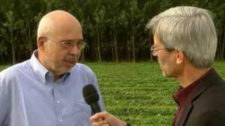 BIOENERGY 2020+ GmbH Standort Wieselburg DE