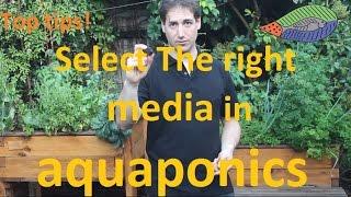 Top tips to select the right media for your aquaponics setup!