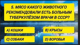 Вы точно ЭРУДИТ, если ответите хотя бы на 15 вопросов