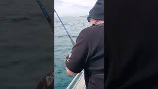 Fozzy Catches Snapper Using Maxima Fishing Line!