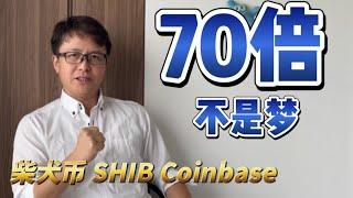 柴犬币涨70倍越来越有希望了（Shib，ShibaSwap，LEASH，BONE，狗狗币，Dogecoin，COINBASE）| ZHANG Ruieyes