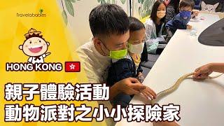 【親子體驗活動】小小探險家️｜由零展開探索之旅 零距離接觸爬蟲類動物